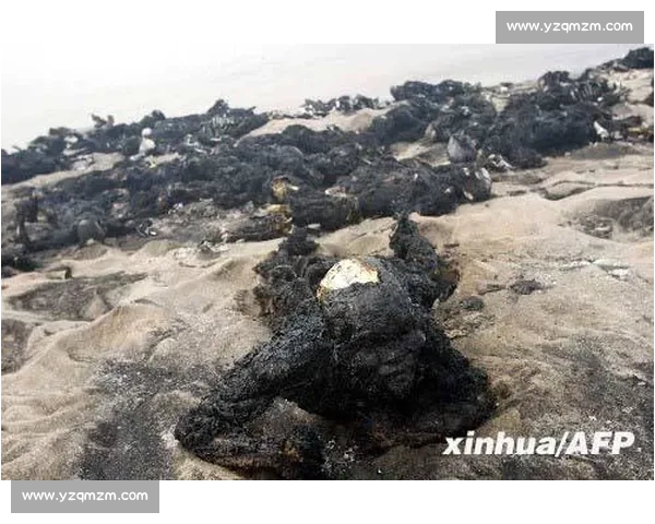 中尼日利亚vs中国多领域对比与合作前景深度观察现状与趋势分析